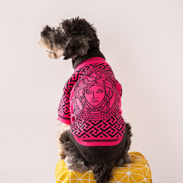 Pawsace Premium Designer Dog Sweater - Image 8