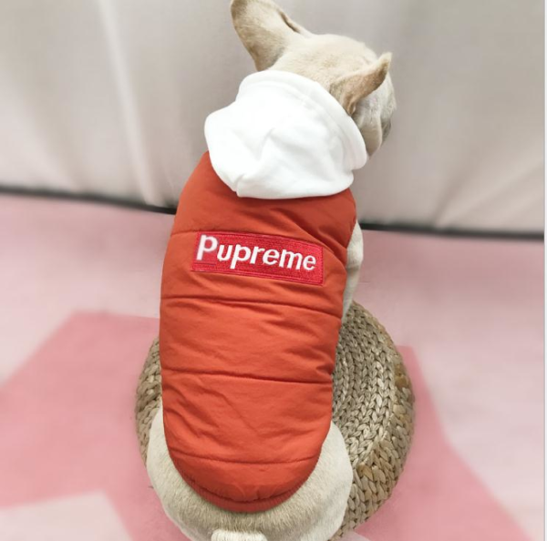 Pupreme Box Logo Sleeveless Hooded Down Jacket - Image 5